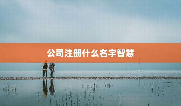 公司注册什么名字智慧