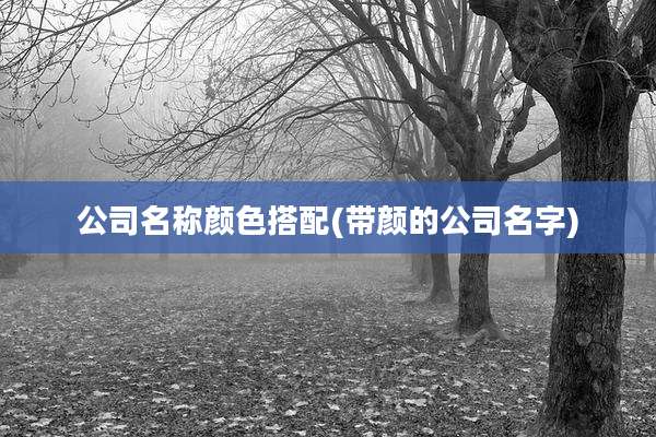 公司名称颜色搭配(带颜的公司名字)