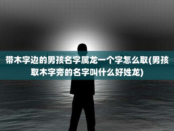 带木字边的男孩名字属龙一个字怎么取(男孩取木字旁的名字叫什么好姓龙)
