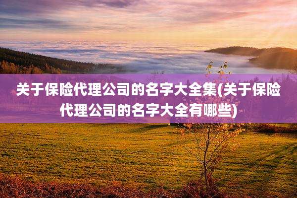 关于保险代理公司的名字大全集(关于保险代理公司的名字大全有哪些)