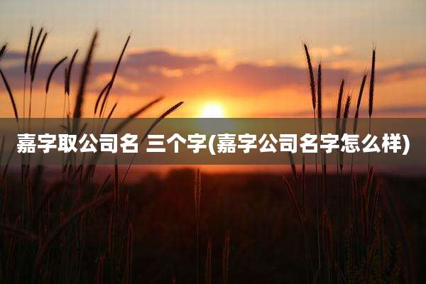 嘉字取公司名 三个字(嘉字公司名字怎么样)