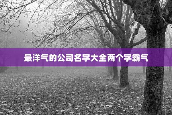最洋气的公司名字大全两个字霸气