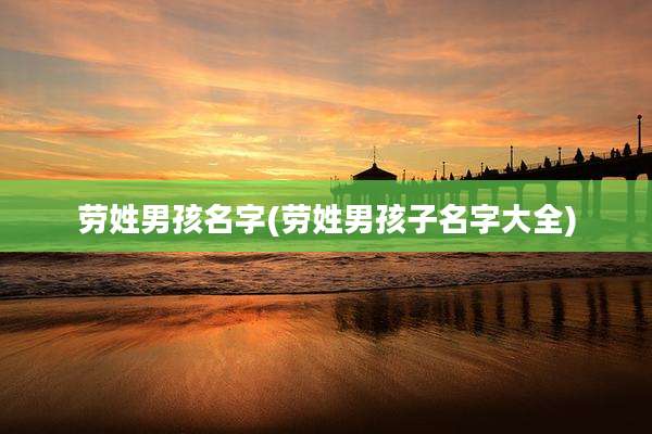 劳姓男孩名字(劳姓男孩子名字大全)
