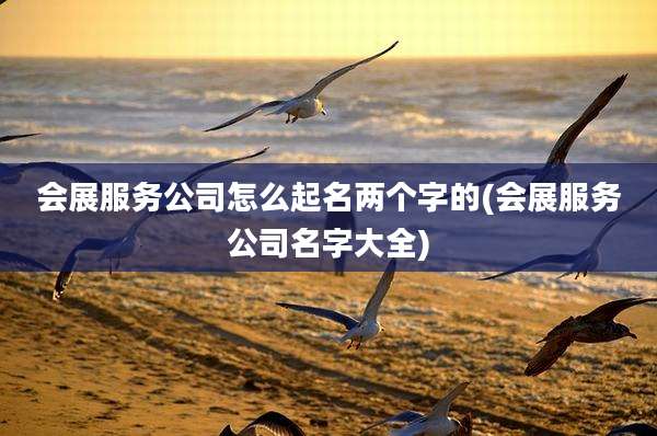 会展服务公司怎么起名两个字的(会展服务公司名字大全)