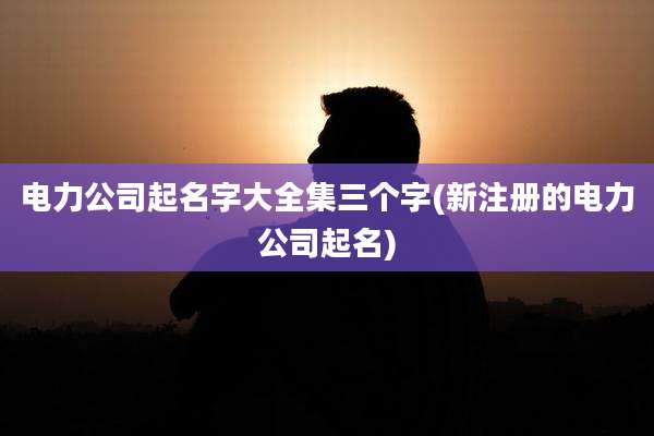 电力公司起名字大全集三个字(新注册的电力公司起名)
