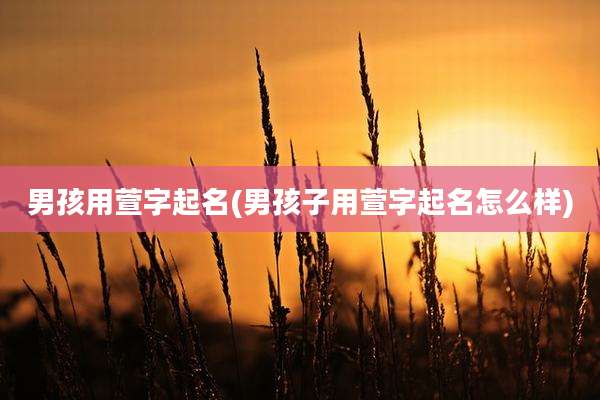 男孩用萱字起名(男孩子用萱字起名怎么样)