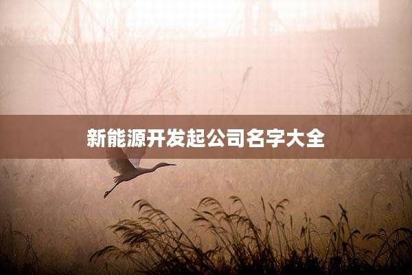 新能源开发起公司名字大全