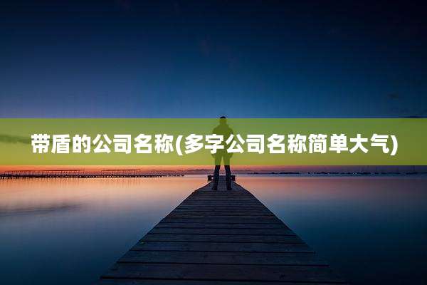 带盾的公司名称(多字公司名称简单大气)