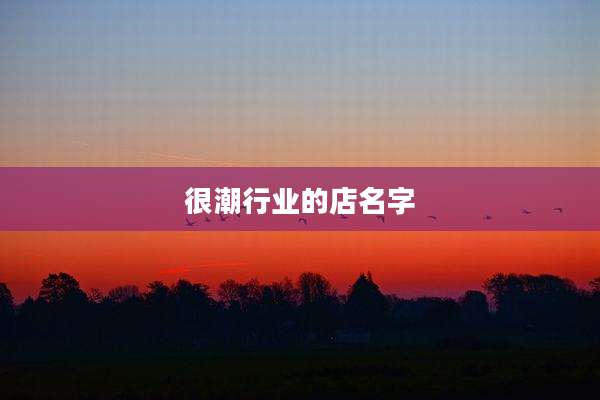 很潮行业的店名字