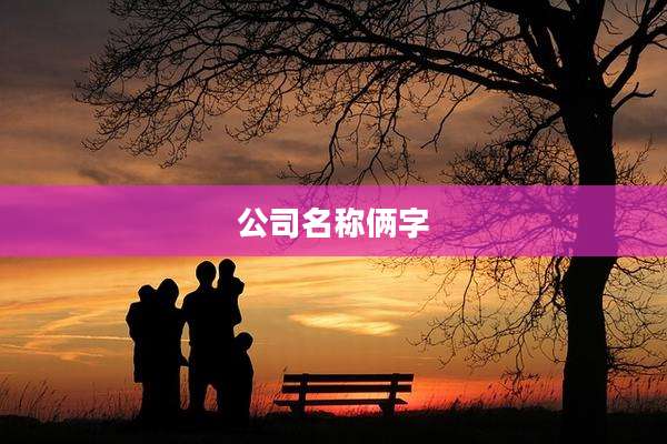 公司名称俩字