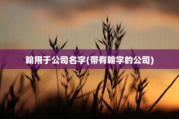 翰用于公司名字(带有翰字的公司)