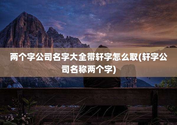 两个字公司名字大全带轩字怎么取(轩字公司名称两个字)