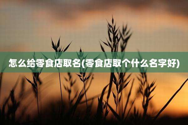 怎么给零食店取名(零食店取个什么名字好)