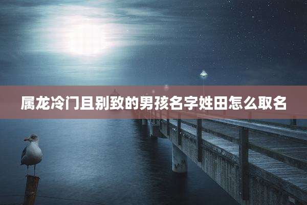 属龙冷门且别致的男孩名字姓田怎么取名