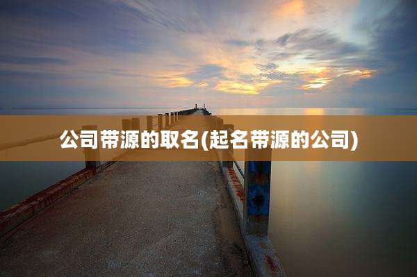 公司带源的取名(起名带源的公司)