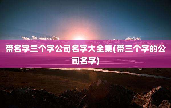 带名字三个字公司名字大全集(带三个字的公司名字)