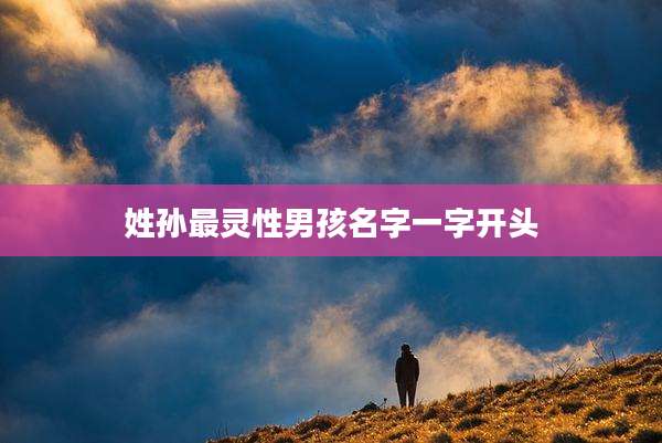 姓孙最灵性男孩名字一字开头