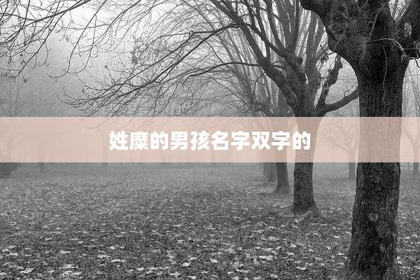 姓糜的男孩名字双字的