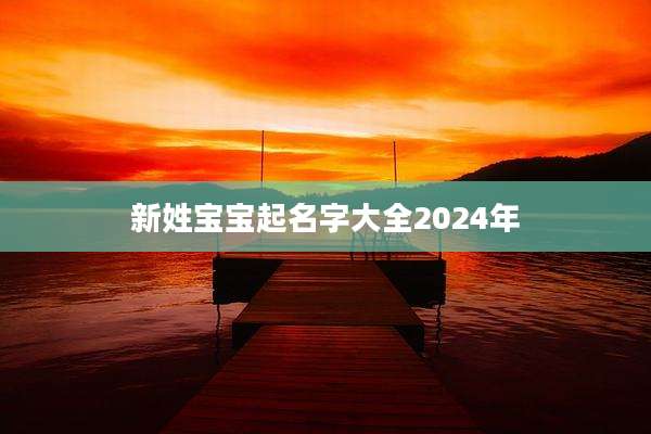 新姓宝宝起名字大全2024年