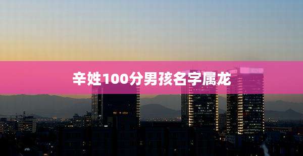 辛姓100分男孩名字属龙