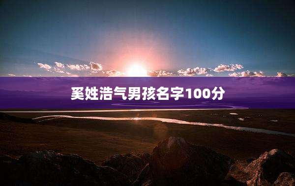 奚姓浩气男孩名字100分