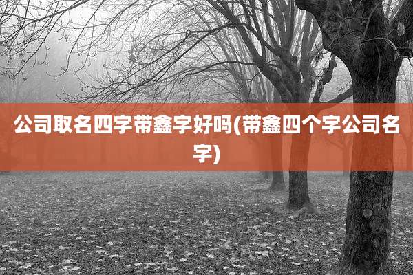 公司取名四字带鑫字好吗(带鑫四个字公司名字)
