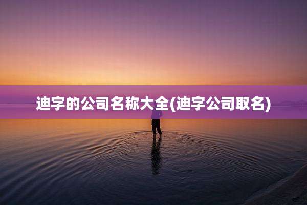 迪字的公司名称大全(迪字公司取名)