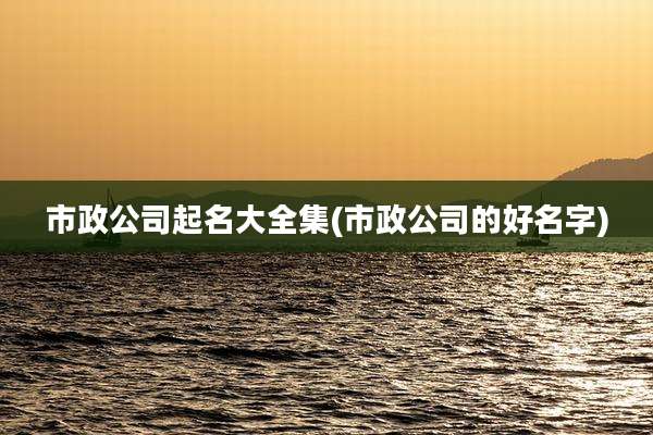 市政公司起名大全集(市政公司的好名字)