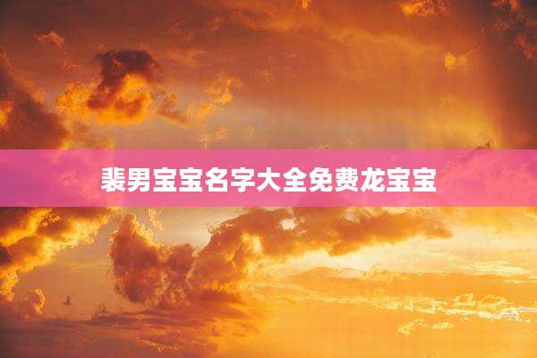 裴男宝宝名字大全免费龙宝宝