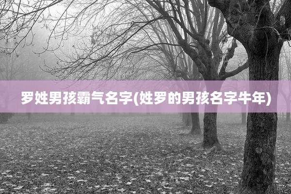 罗姓男孩霸气名字(姓罗的男孩名字牛年)