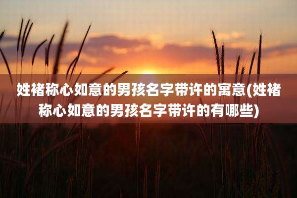 姓褚称心如意的男孩名字带许的寓意(姓褚称心如意的男孩名字带许的有哪些)