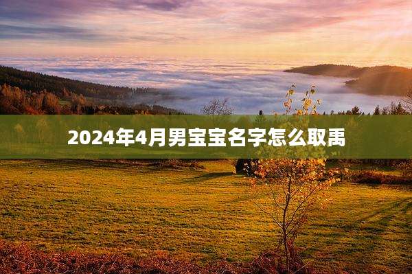 2024年4月男宝宝名字怎么取禹
