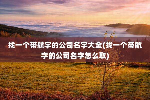找一个带航字的公司名字大全(找一个带航字的公司名字怎么取)