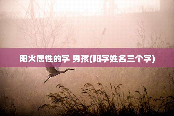 阳火属性的字 男孩(阳字姓名三个字)
