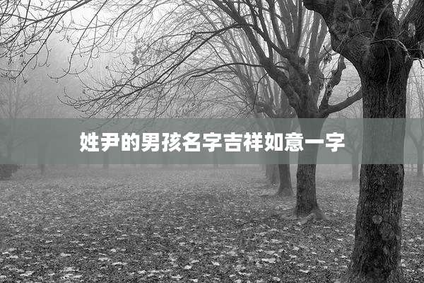 姓尹的男孩名字吉祥如意一字