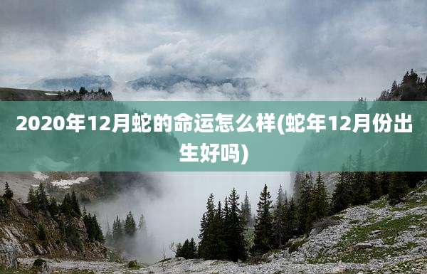2020年12月蛇的命运怎么样(蛇年12月份出生好吗)