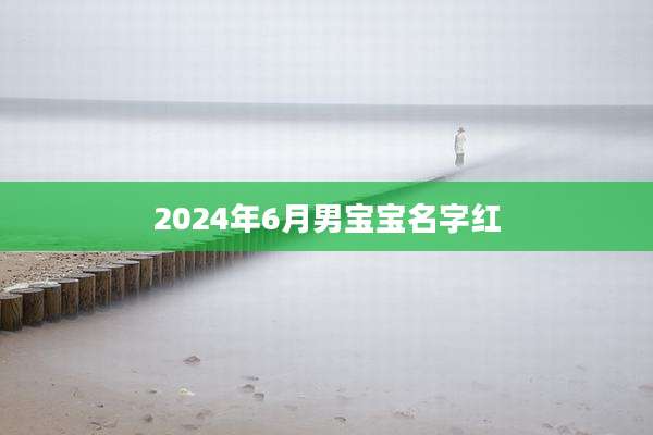 2024年6月男宝宝名字红