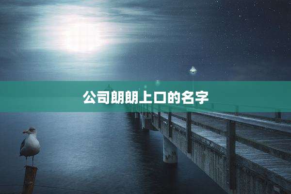 公司朗朗上口的名字