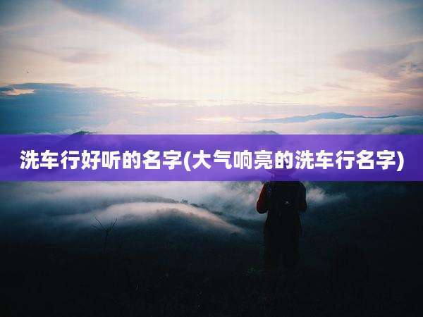 洗车行好听的名字(大气响亮的洗车行名字)