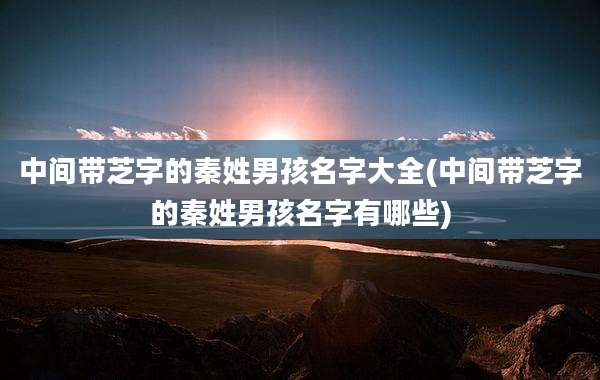 中间带芝字的秦姓男孩名字大全(中间带芝字的秦姓男孩名字有哪些)