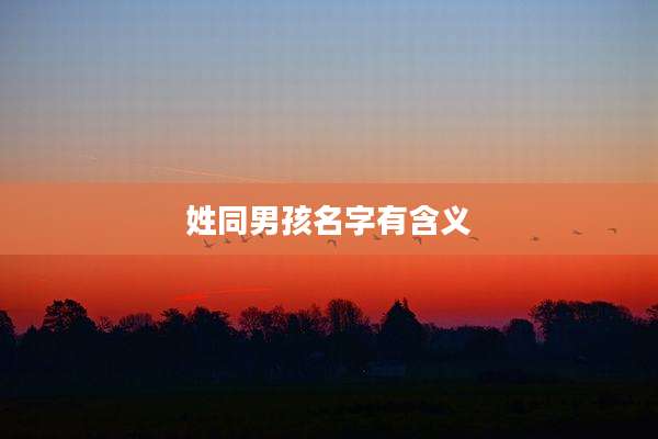 姓同男孩名字有含义