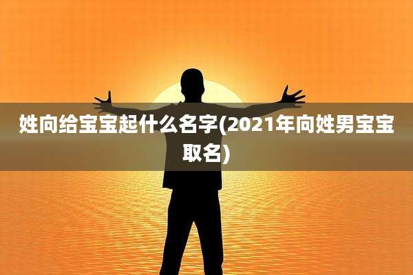 姓向给宝宝起什么名字(2021年向姓男宝宝取名)
