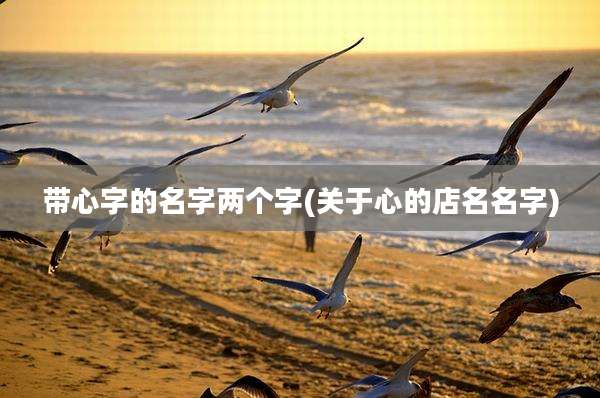 带心字的名字两个字(关于心的店名名字)