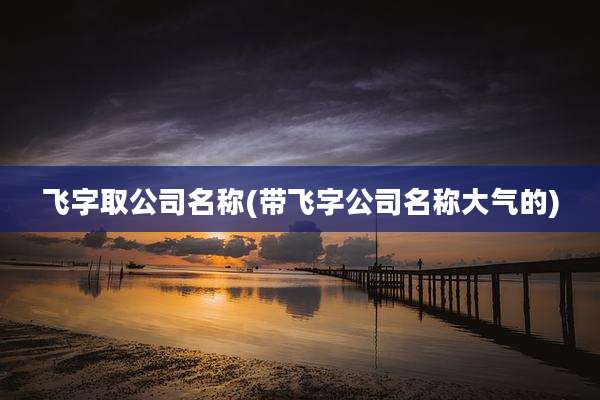 飞字取公司名称(带飞字公司名称大气的)