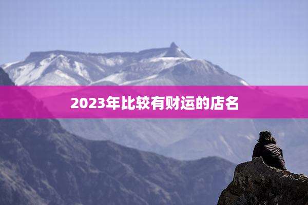 2023年比较有财运的店名