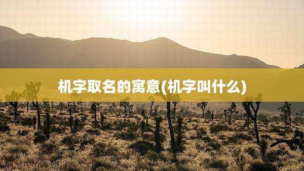 机字取名的寓意(机字叫什么)