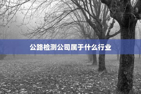 公路检测公司属于什么行业