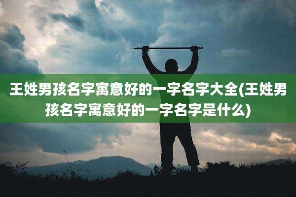 王姓男孩名字寓意好的一字名字大全(王姓男孩名字寓意好的一字名字是什么)