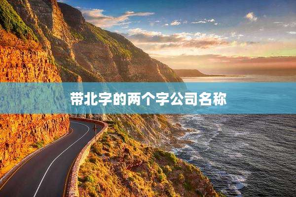 带北字的两个字公司名称