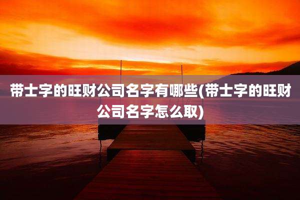 带士字的旺财公司名字有哪些(带士字的旺财公司名字怎么取)